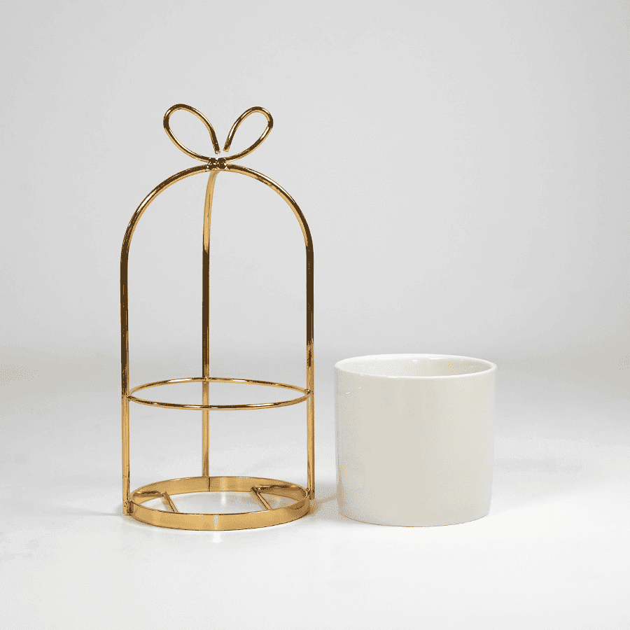 brymax product image